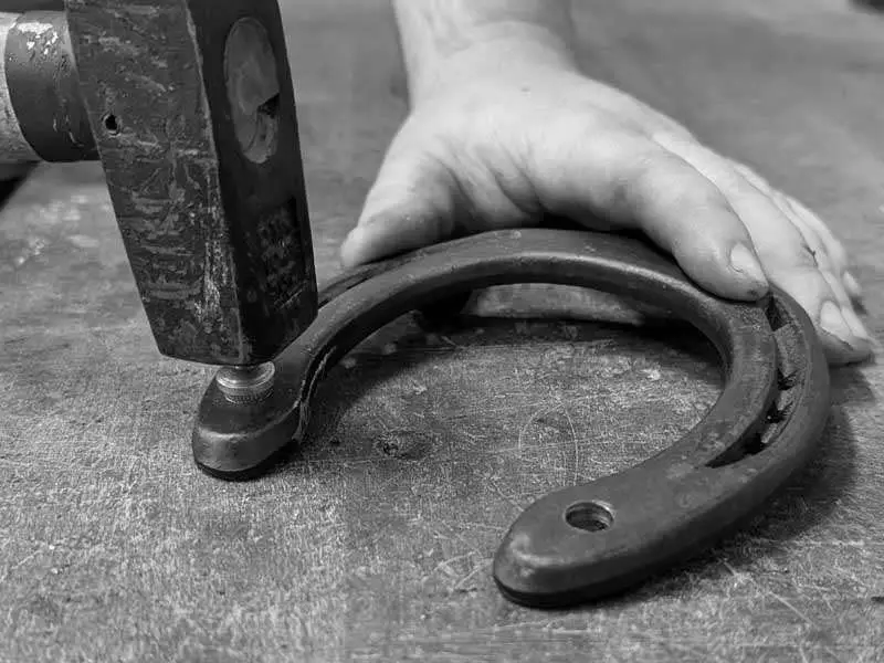 The farrier uses a hammer to drive a stud into the steel shoe.