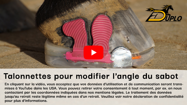 un fer avec talonnette qui est collé à moitié et cloué à moitié au sabot