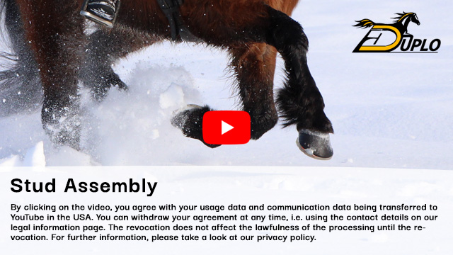 an Icelandic horse with alternative horseshoes gallops through deep snow