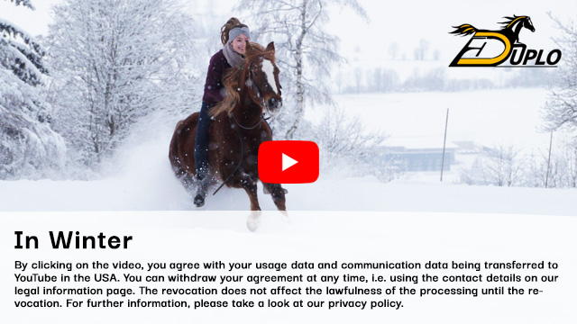 a rider galloping through the snow on a brown horse