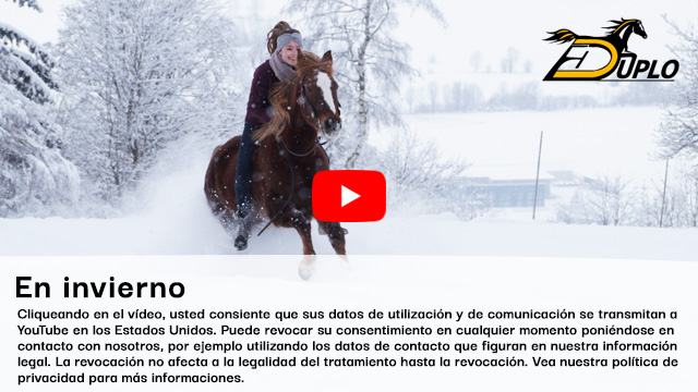 una jinete galopa sobre un caballo marrón a través de la nieve