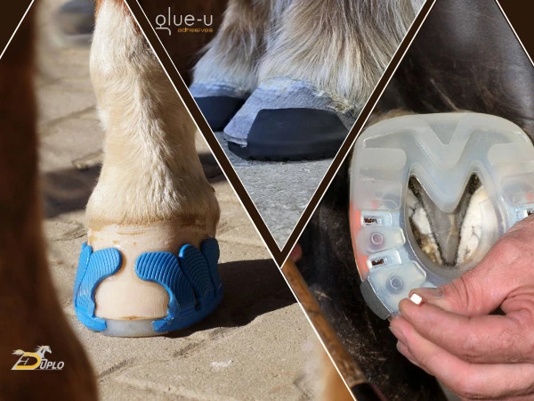 Workshop with Duplo compisite horseshoes and glue-u products.